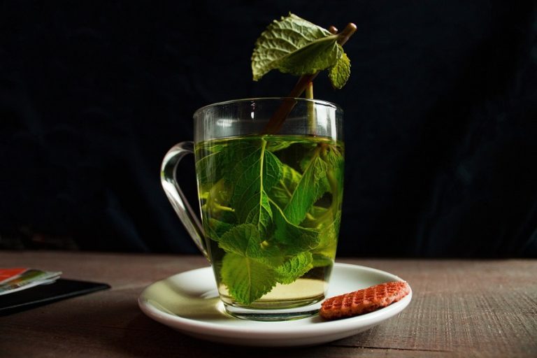 Les bienfaits indéniables du thé vert bio